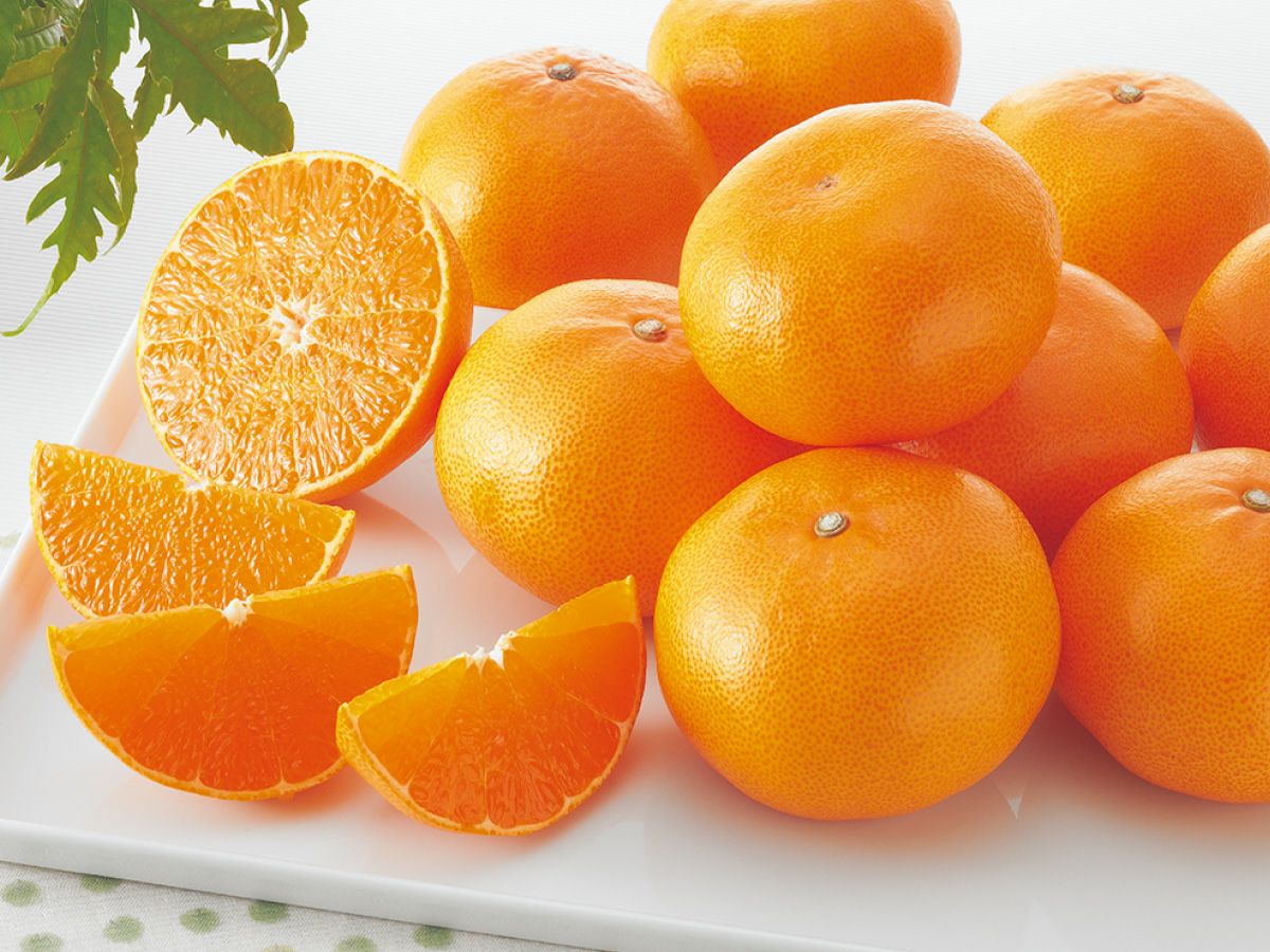 露地せとか約7kg-贈答用 | のま果樹園