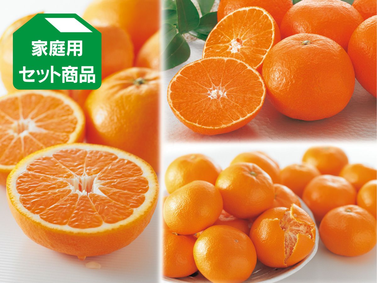 コタツでみかん「プチセット」 | のま果樹園