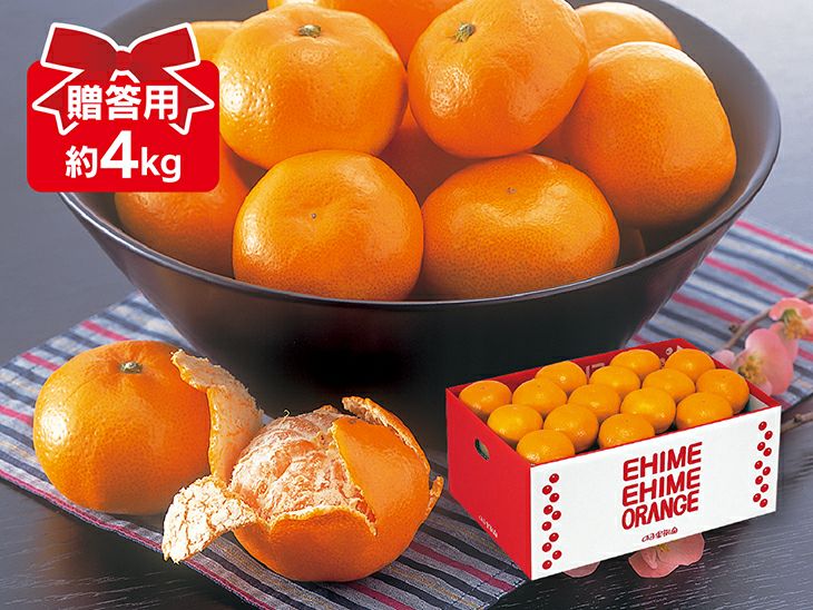 愛媛みかん4kg-贈答用 | のま果樹園