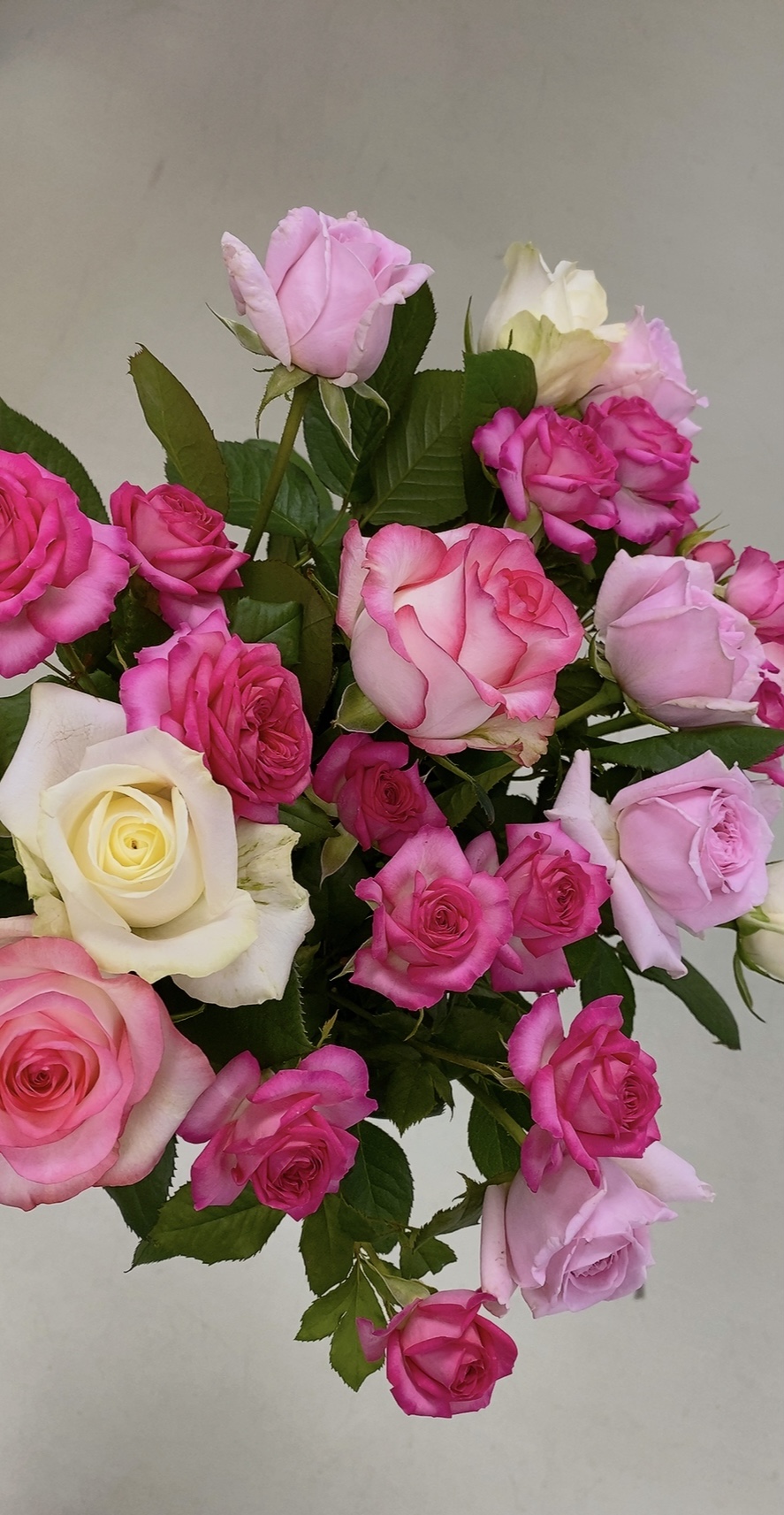 直売所のご案内 - 宮城野バラ工房 梶農園