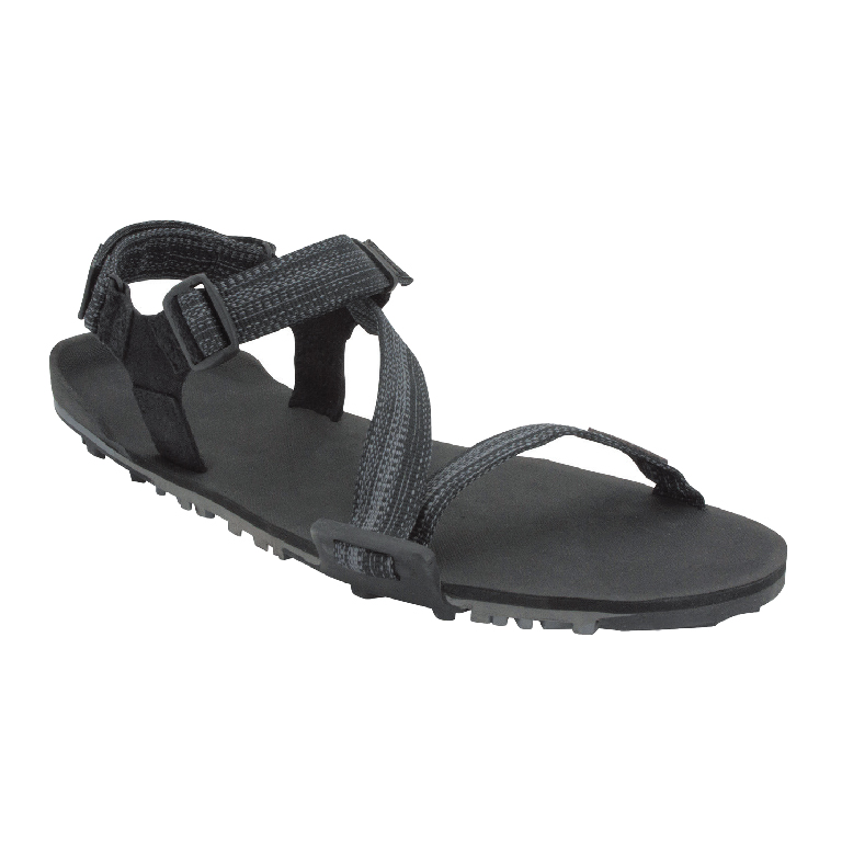 株式会社ケンコー社 / M's ZトレイルEV