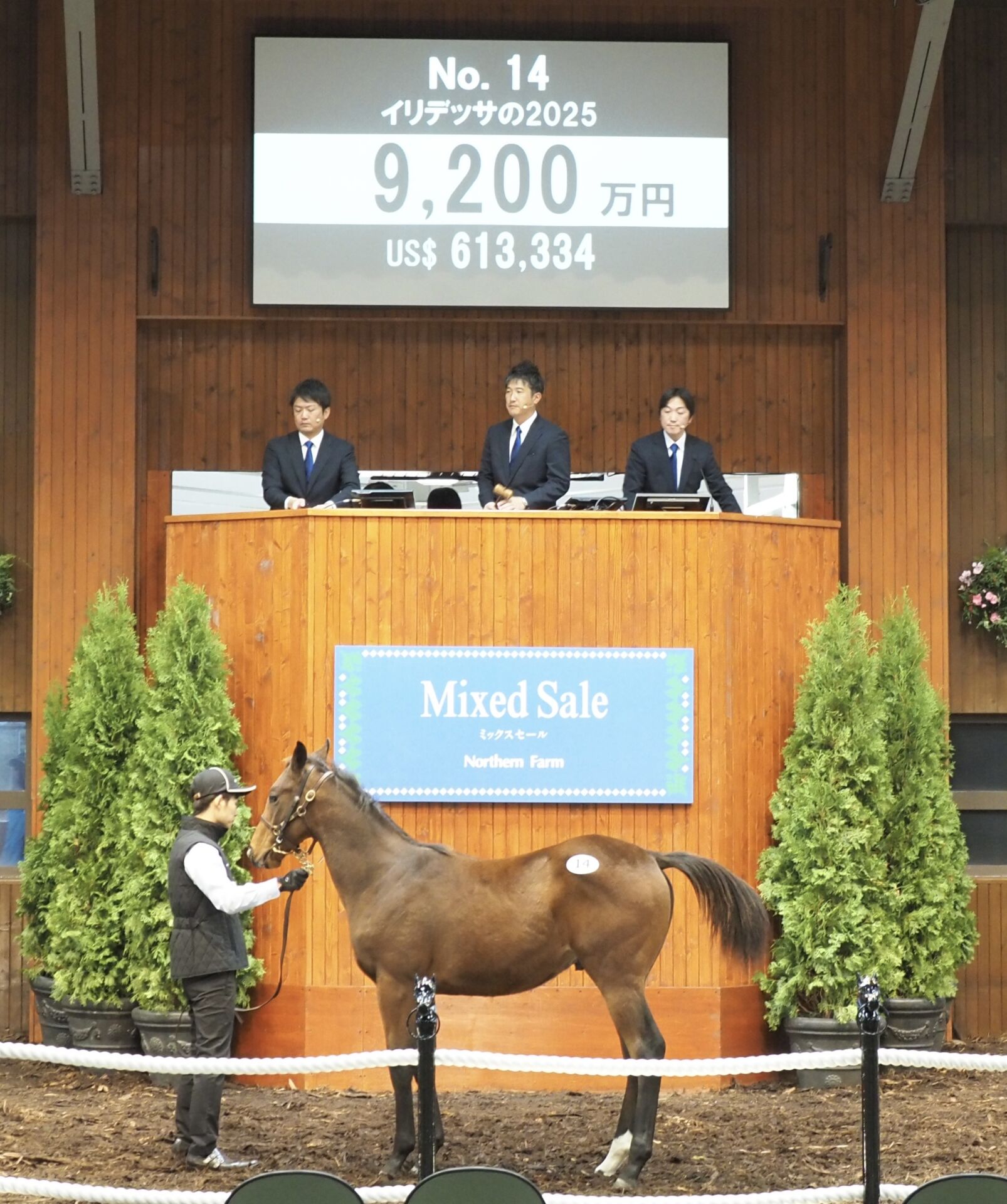 ミックスセール2025】イクイノックス産駒2頭目は9200万円 | 競馬