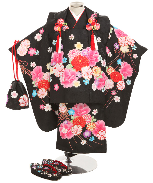 七五三(三歳女の子)着物レンタル｜菊桜柄黒色着物×黒色被布｜W-G-3-160