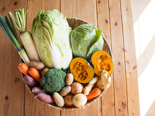 お試し】旬の野菜セット8品（送料込み）｜菊池まるごと市場