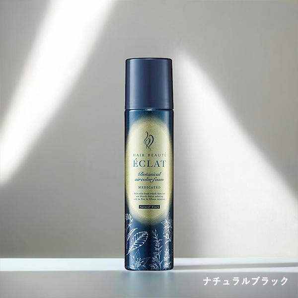 ヘアボーテ エクラ ボタニカルエアカラーフォームEX 2本セット 簡単