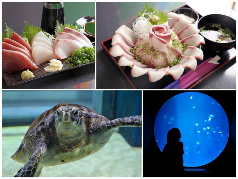 高知グルメ】元漁師が営む土佐清水市の「鮮魚一八」と竜串湾を望む