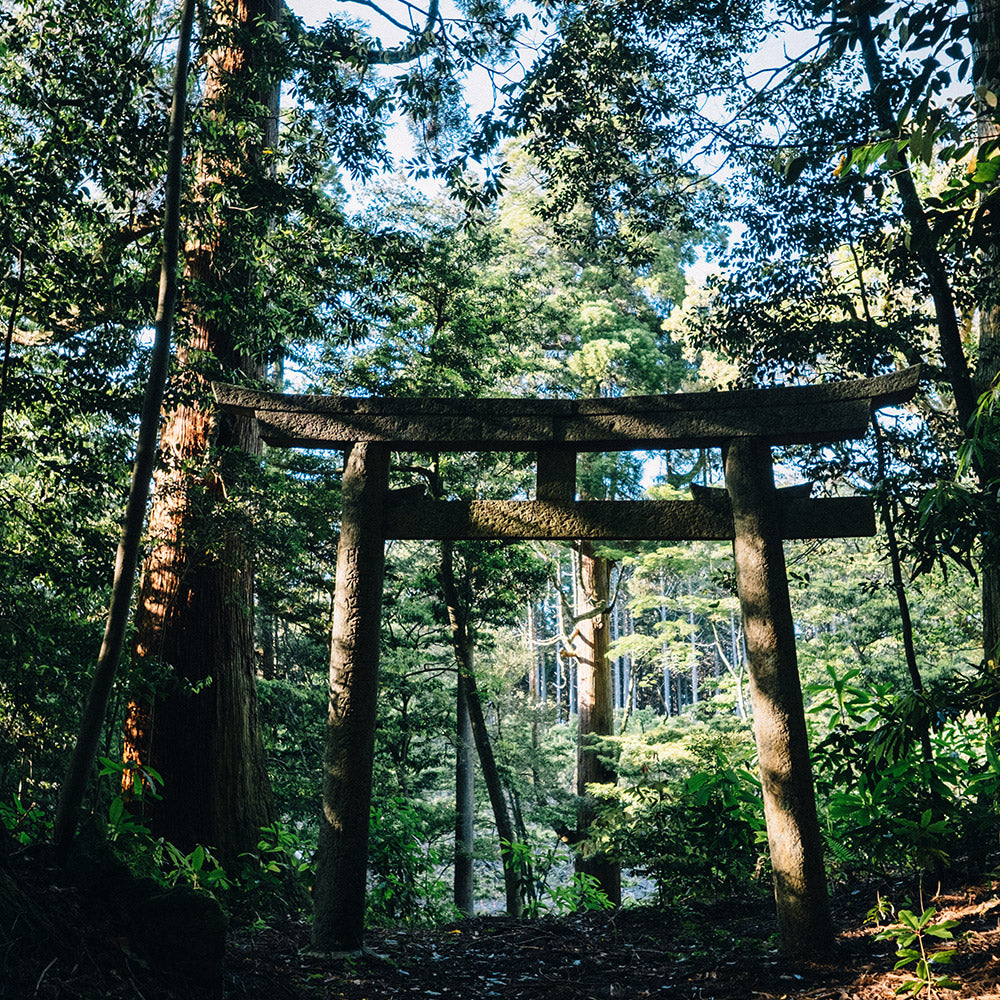 MURO ​​original ultimate rice koji amazake A amasake 300ml mail