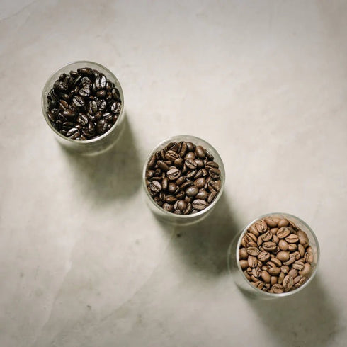 The fin.｜世界の頂点を味わう極上コーヒー3種ギフト｜ハワイ島コナ