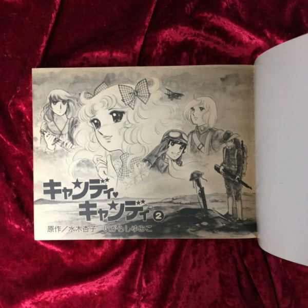 キャンディ キャンディ 愛蔵版 1巻・2巻 全2冊セット – 古書ドリス