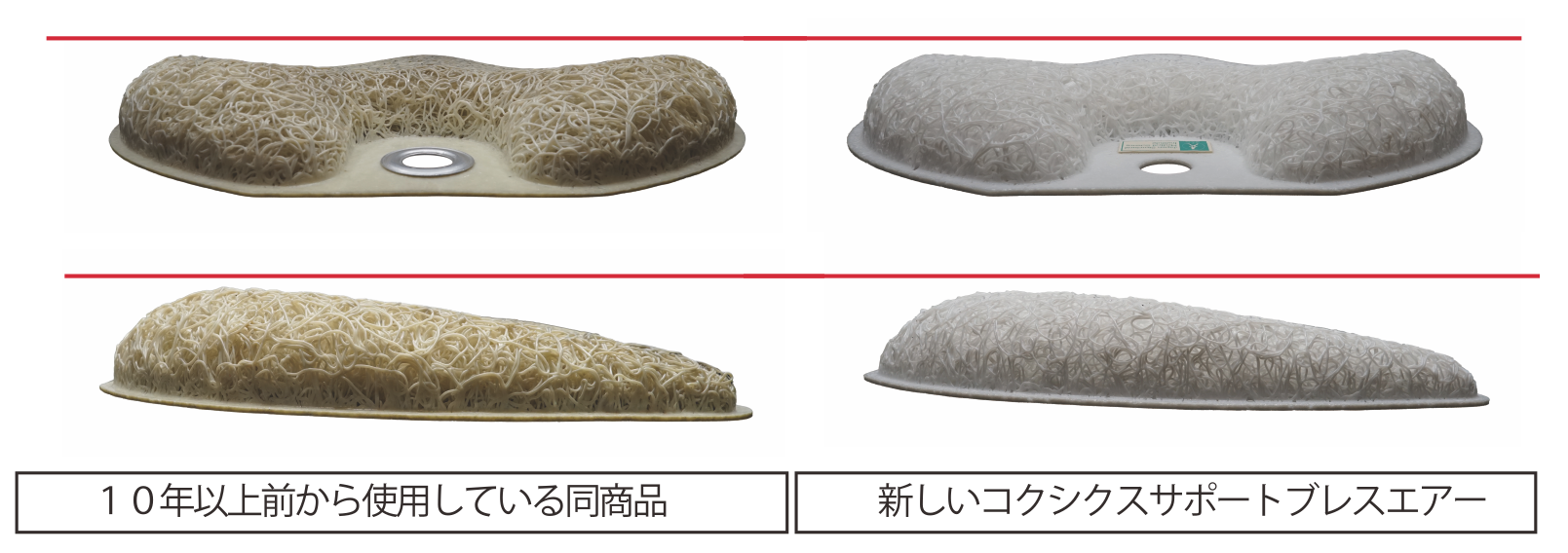 コクシクスサポート・トラベラーズの限定復刻販売について | 構造医学