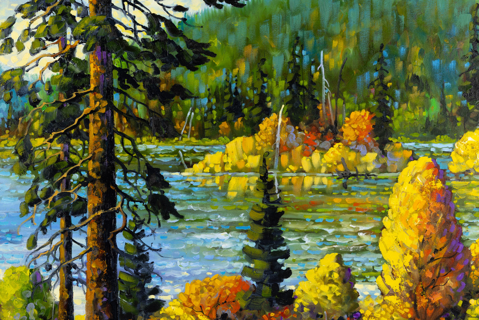 Autumn Light, Algonquin