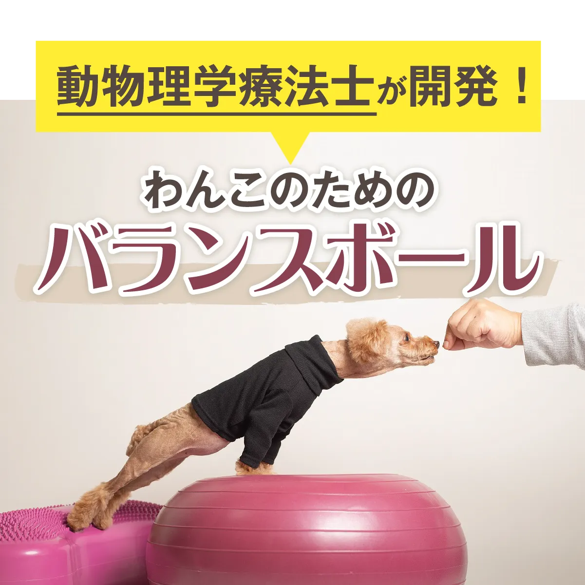 獣医師推奨】アプリア バランスボーン – kps_online_shop