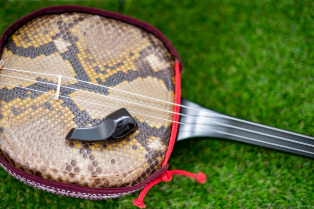 三線（さんしん）の歴史とルーツを紹介│沖縄にいつごろ伝わった