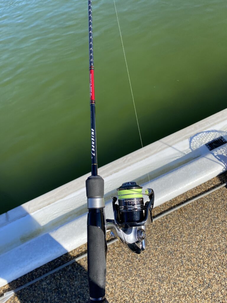 バベルで挑む！プールトラウト ロッド編 トラウティーノ | くだわり生活。