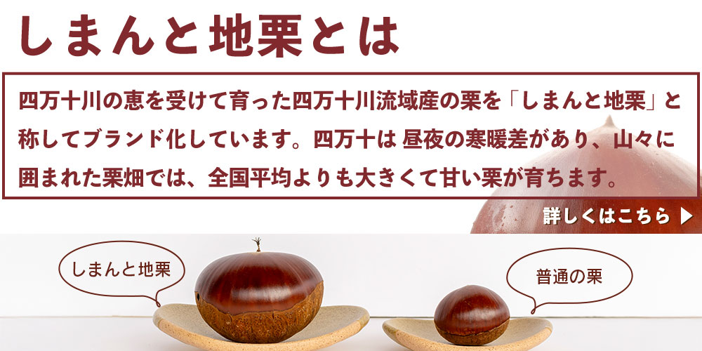 2025年の新栗 しまんと地栗の新栗スイーツ | 四万十ドラマ通販サイト