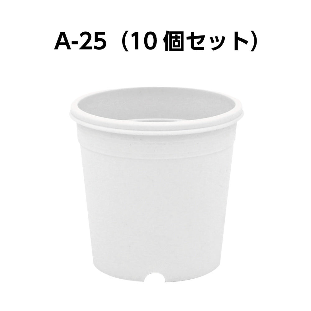 A-25 白 10個セット (2.5号鉢) – KUROKO