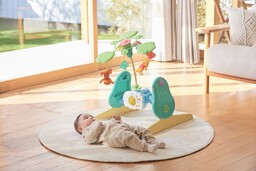 えらべる回転 6WAYジムにへんしんメリー プラス くまのプーさん