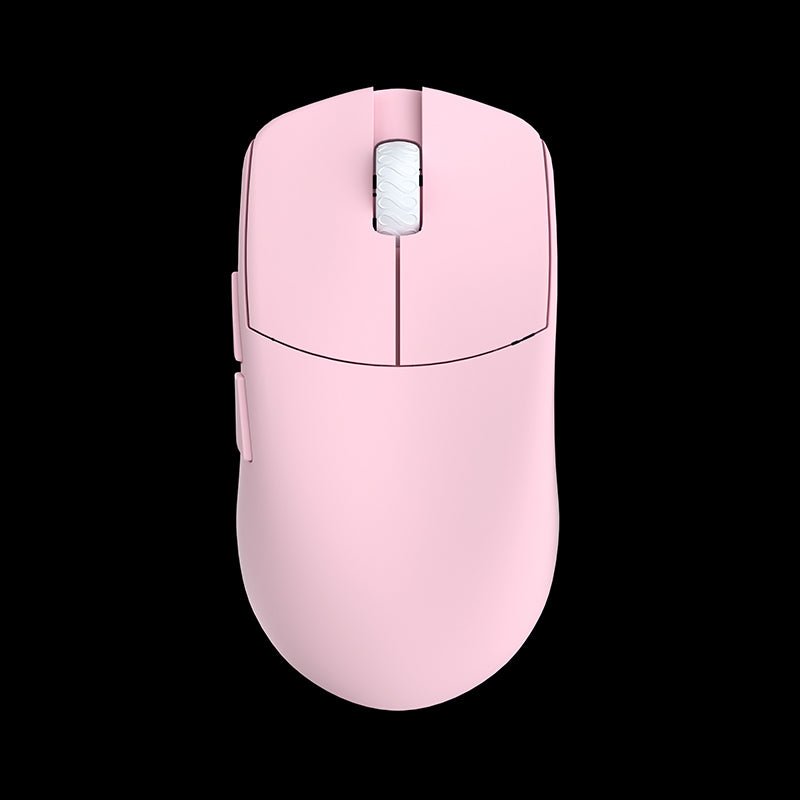 LAMZU MAYA [Champion Edition]