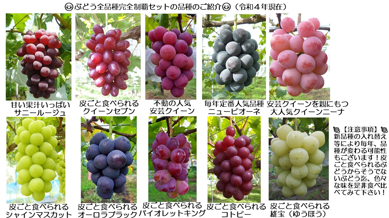 ぶどう商品一覧 - Lapierre Vineyard（ラピアビンヤード）Lapierre