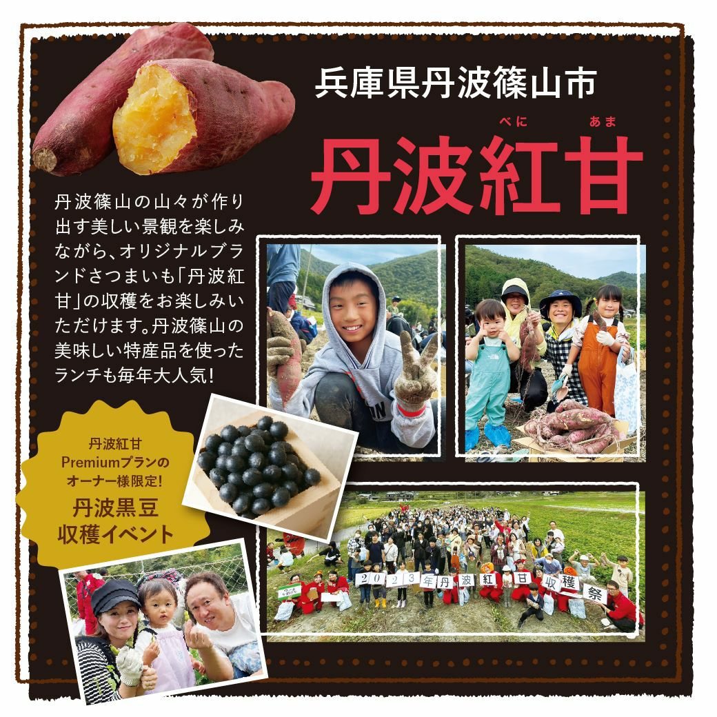 おいも株オーナー制度2025収穫祭【丹波紅甘】◇大人3000円・子ども2000