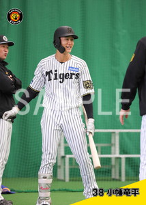 阪神2025__小幡竜平04