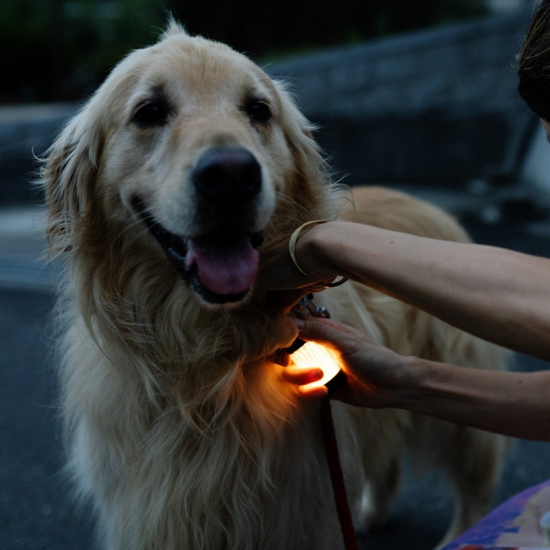 Ledlenser ML4 Warm Light｜LEDランタン｜レッドレンザー公式通販