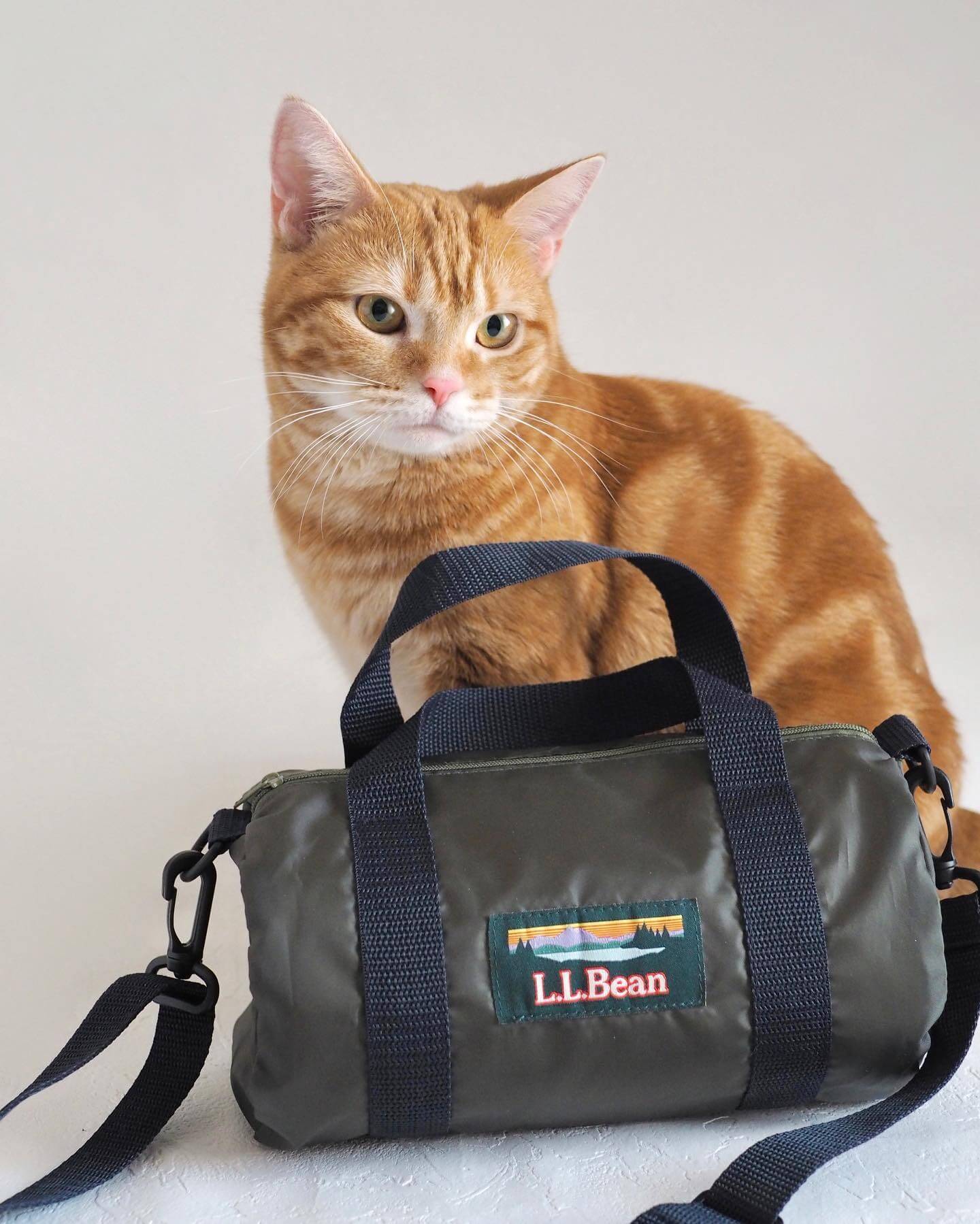 L.L.Bean 2WAYミニボストン」は豪華なつくりで付録とは思えないほど