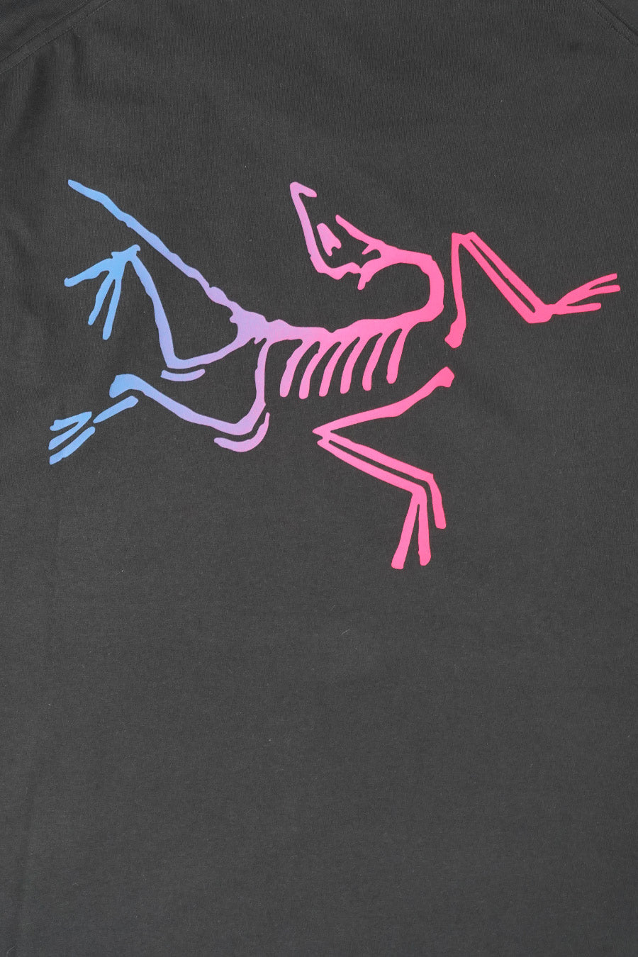 Arc'teryx - BLACK KRAGG T-SHIRT – LE LABO STORE