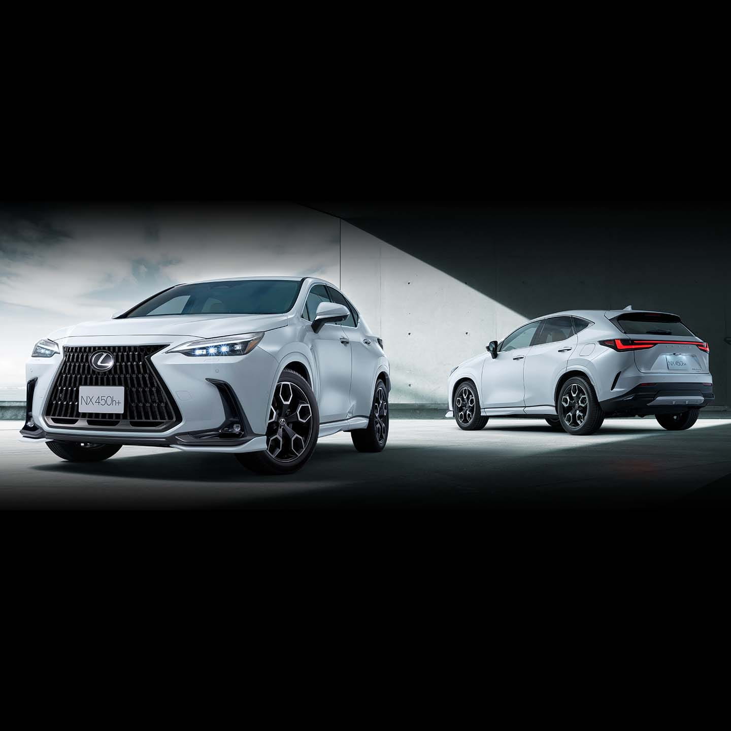 LEXUS ‐ NX｜ディーラーオプション