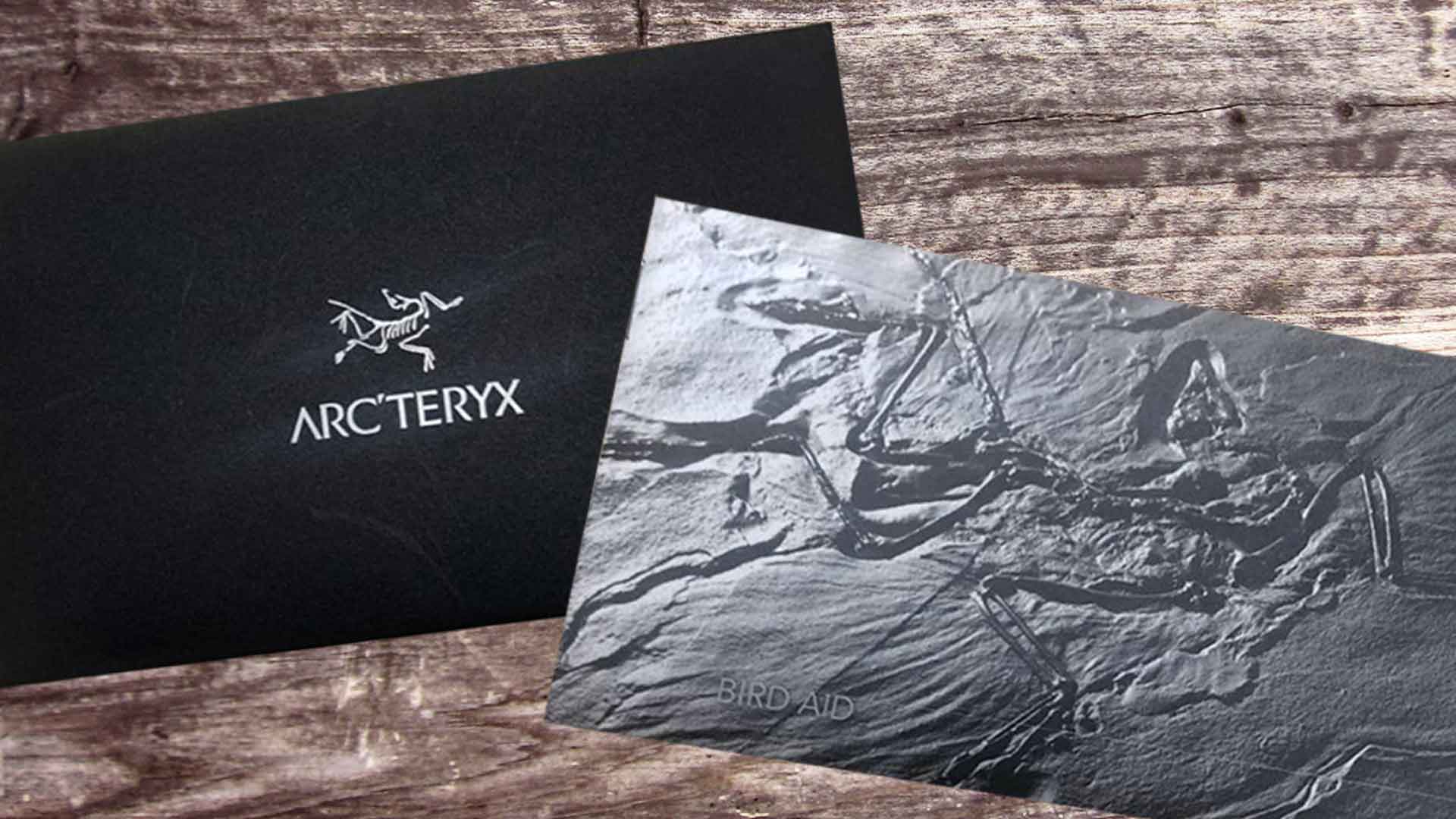 アークテリクスの「バード エイド」とは？長く着るためのオーナー保証