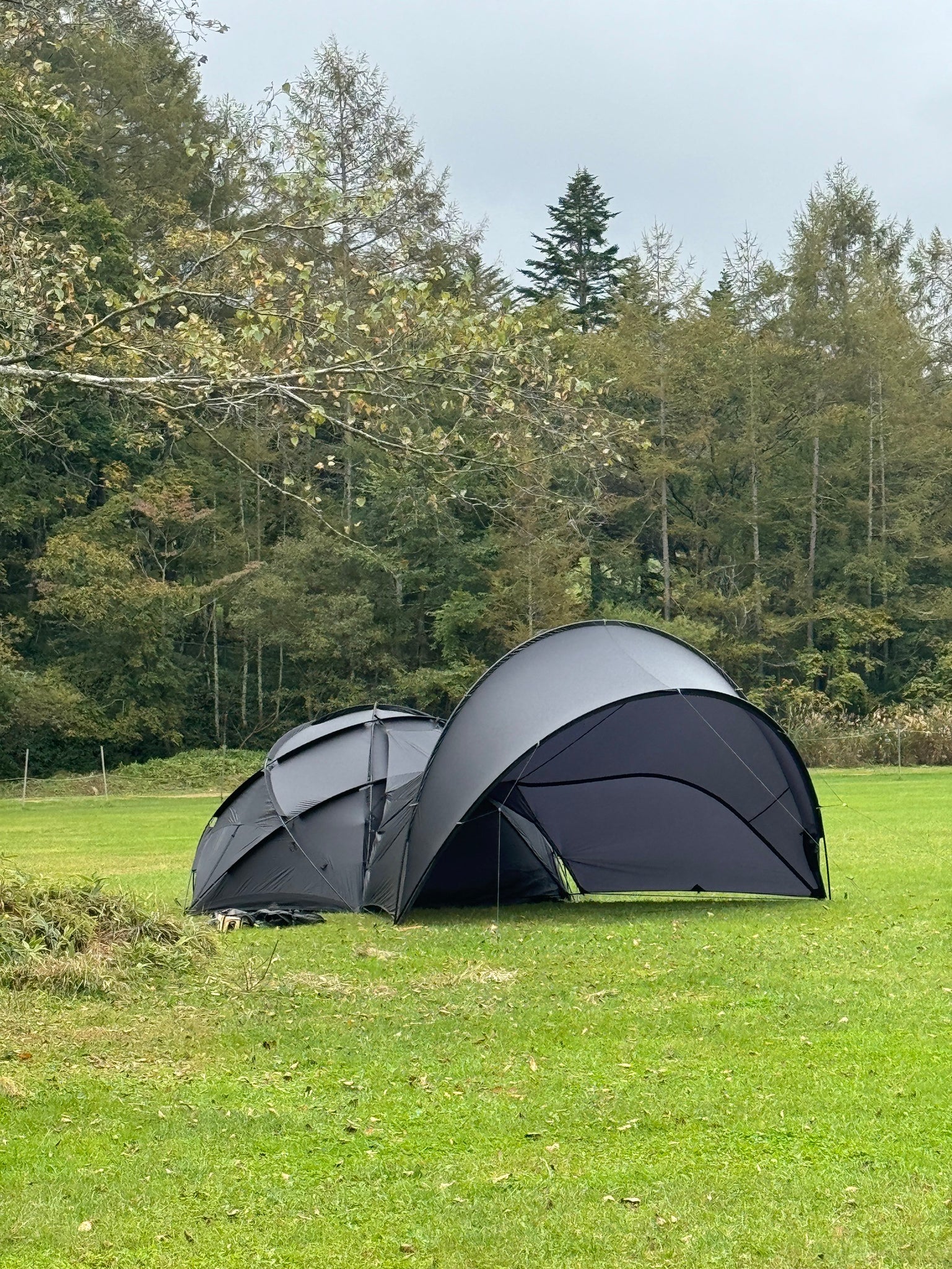 living room +TPU doorセット – LOG