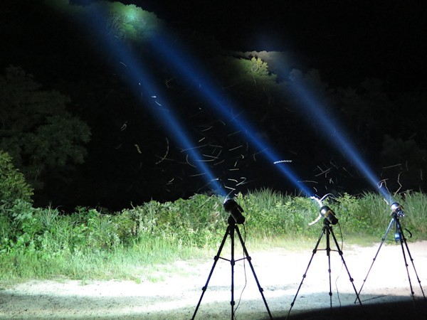 MOTHLIGHT-C HID投光器｜灯火総研