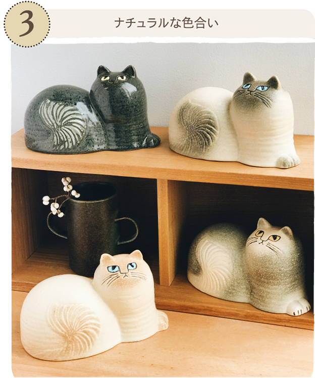 Maj じゃまをする猫「マイ」