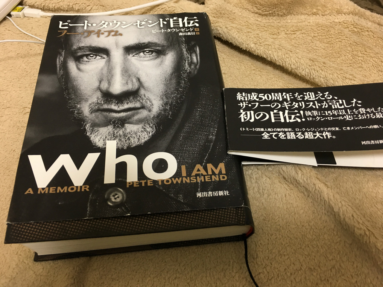 ピート・タウンゼント自伝読了、何たる面白さ、自伝って最高だな