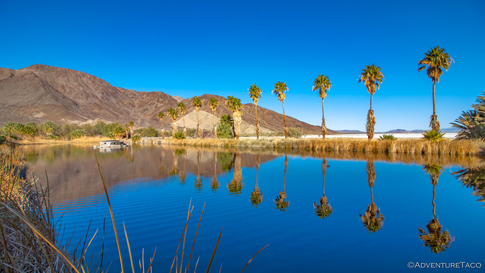 FM towns ヴェイル オブ ダークネス FM TOWNS : ヴェイル・オブ