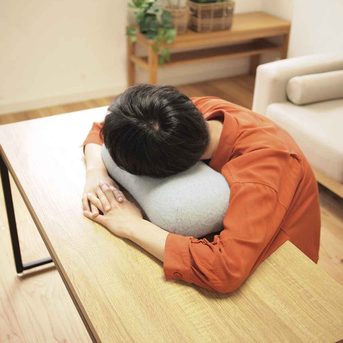 クッション フロスト 低反発マルチクッション （ ミニクッション