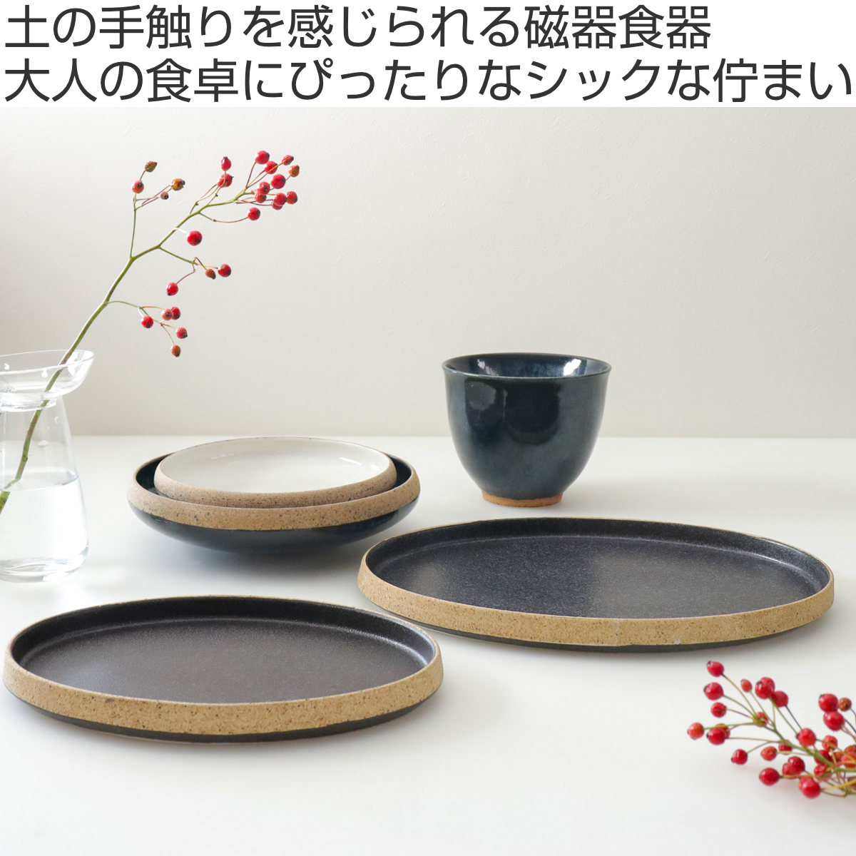 プレート 26cm L オーバル TOSS 磁器 美濃焼 同色3枚セット （ 食洗機