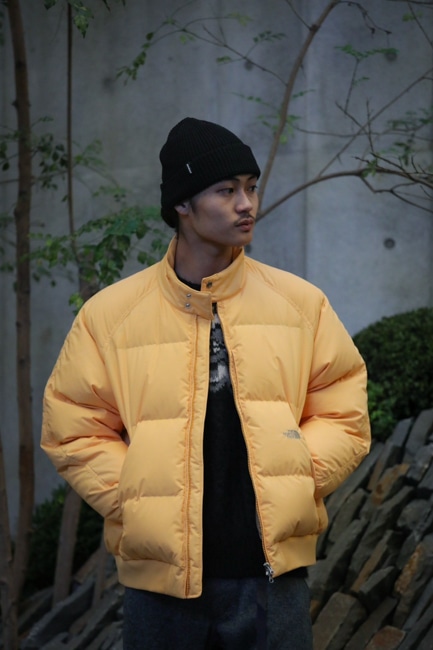 THE NORTH FACE PURPLE LABEL[ザノースフェイスパープルレーベル] 65