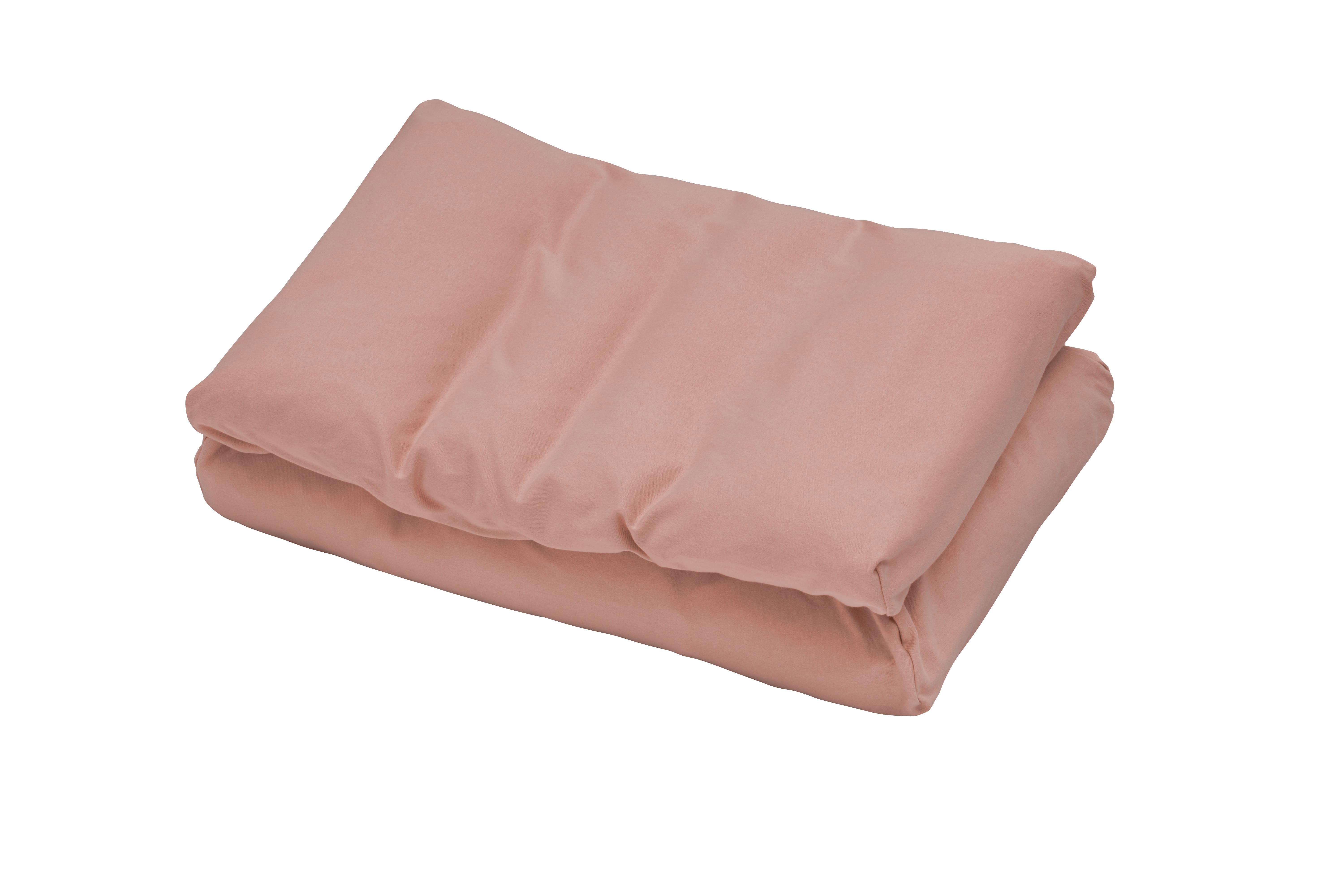 ロフテーパピヨン専用 オーガニックコットン ニットピローケース 枕