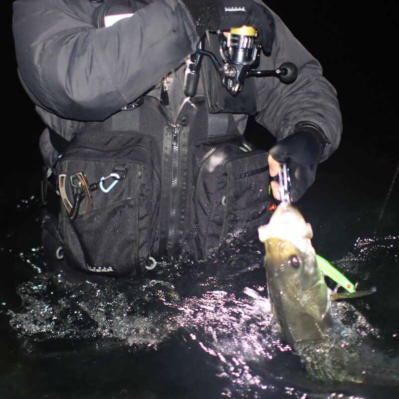 オーシャン FG ベスト | LITTLE PRESENTS