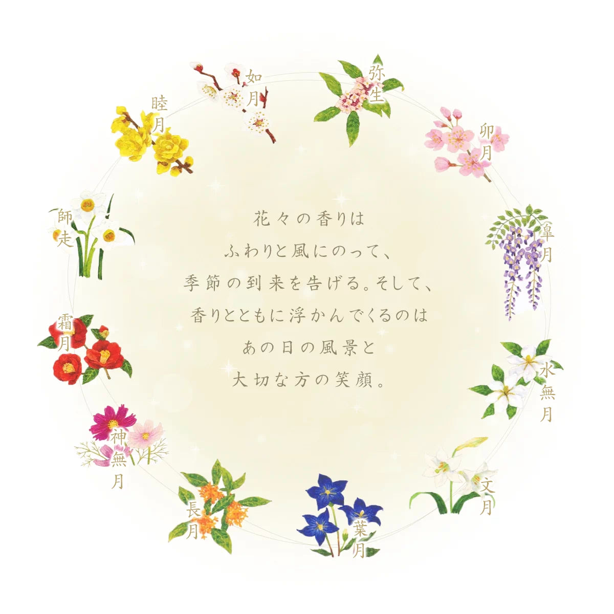 カメヤマローソク 名香 月の花 12種入 桐箱入り【贈答用線香】 | 小物