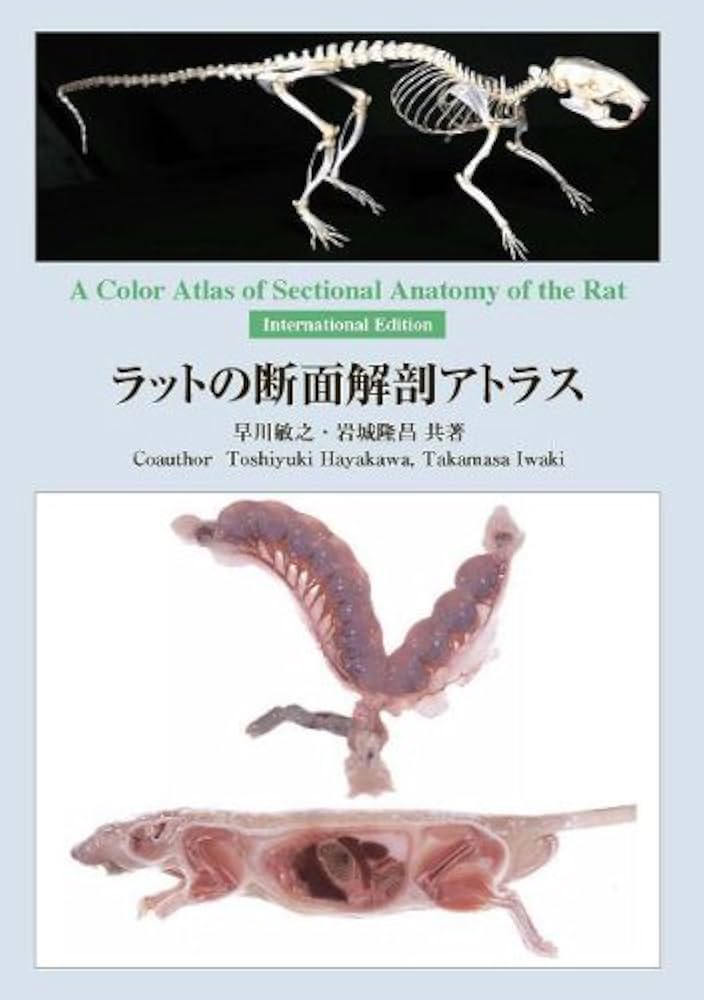 ラットの断面解剖アトラス: AColorAtlasofSectinalAnatomyoftheRat