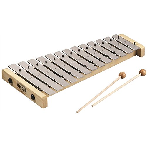 Amazon.com: Sonor Global Beat GA GB Alto Glockenspiel : Musical