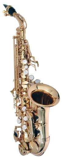 Amazon | PLAYTECH (プレイテック) カーブドソプラノサックス