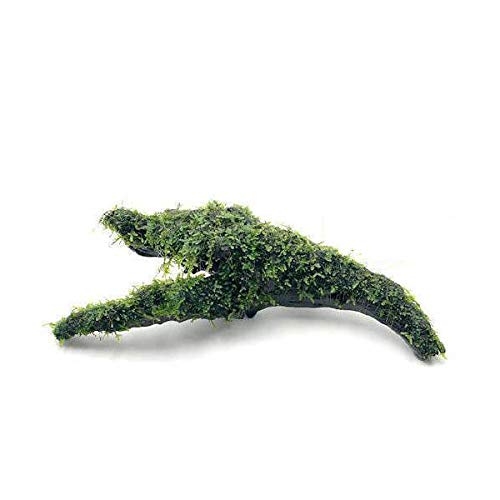 Amazon.co.jp: （水草）巻きたて ジャイアント南米ウィローモス 流木