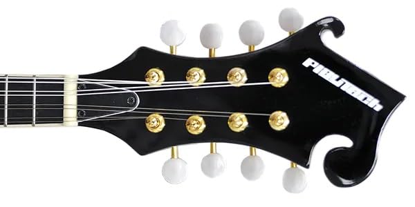 Amazon | PLAYTECH (プレイテック) Fスタイルフラットマンドリン