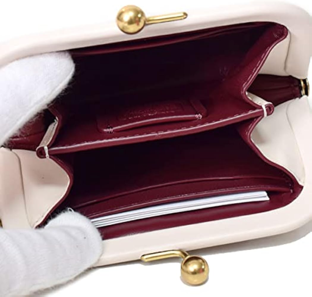 Amazon | COACH コーチ カーフレザー レディーバグ てんとう虫