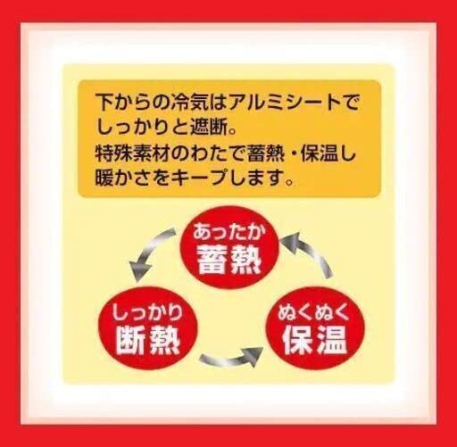Amazon.co.jp: 21520円 未開封 モリリン あったか6層(R) ラグハイパー