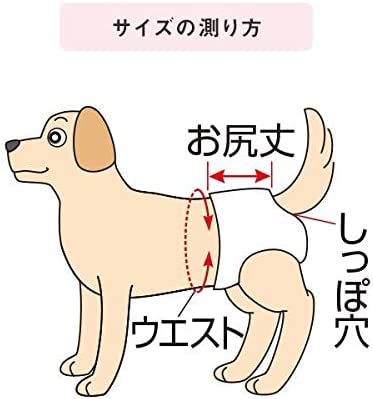 Amazon.co.jp: うんぽパンツ M・32枚 オムツ うんちポケット付き 犬