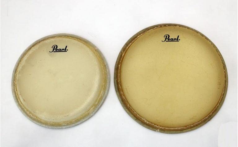 Amazon.co.jp: Pearl プリメーロ・ボンゴ PWB-100 : 楽器・音響機器